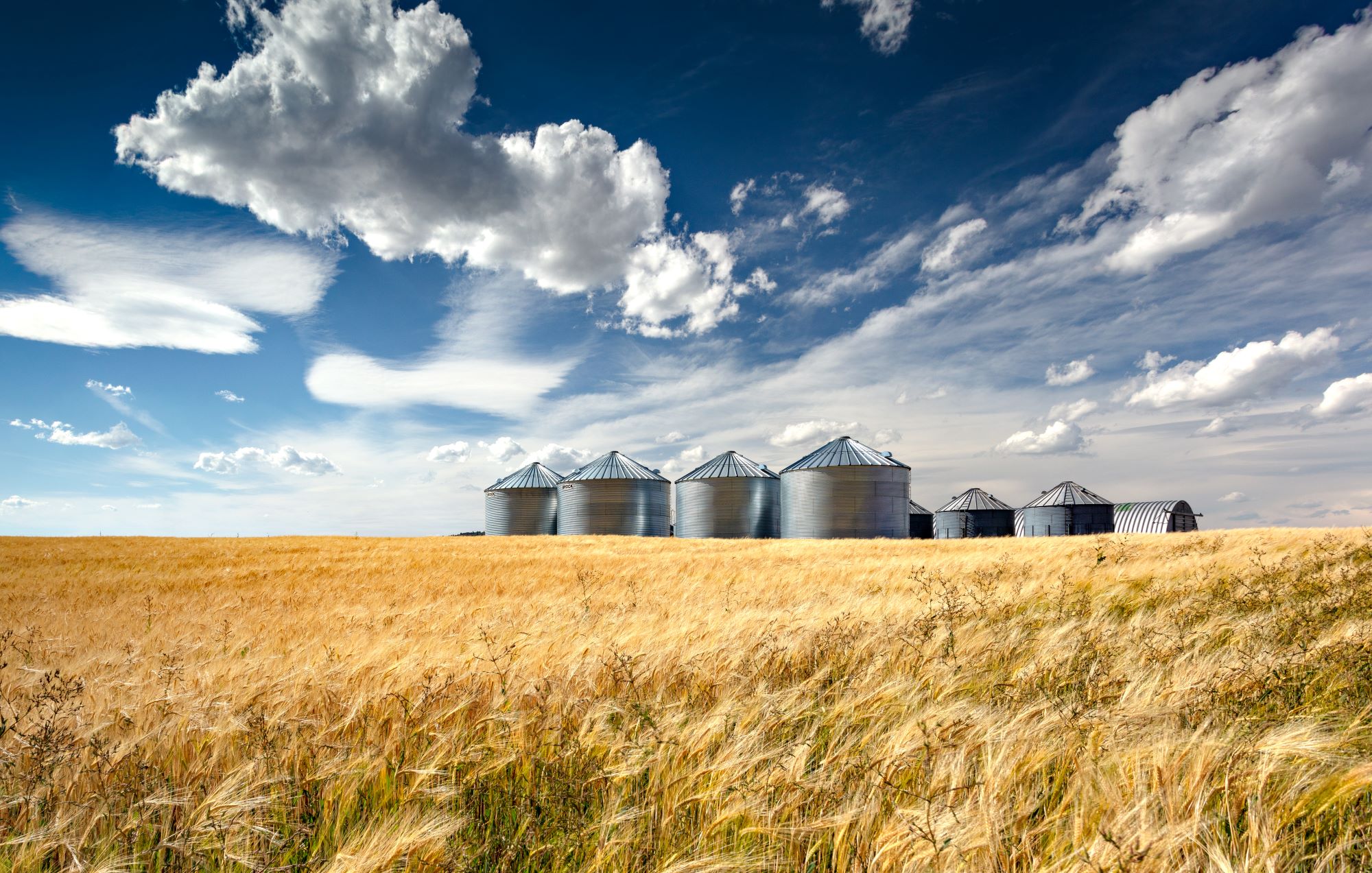 Soda Springs Shutterstock 1819803779