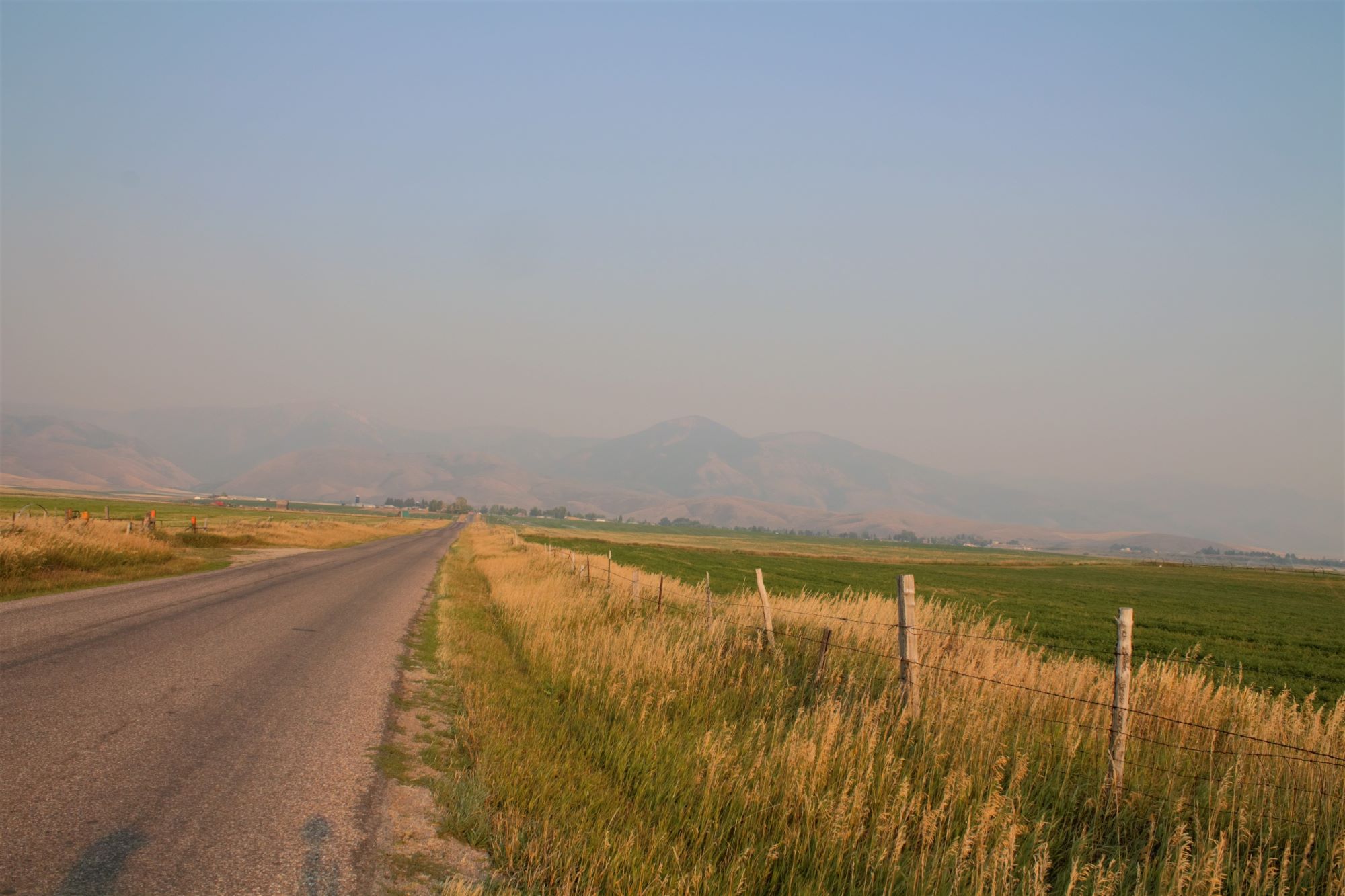 Georgetown ID Shutterstock 2199942929